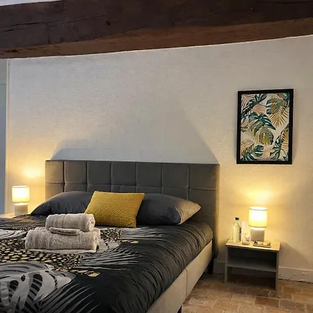 De Charme Avec Cheminee Decorative *