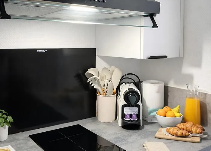 De Charme Avec Cheminee Decorative Apartment Angers